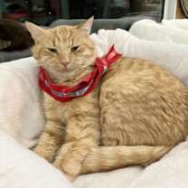 Thumbnail photo of Dr. Owen Hunt #2