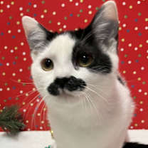 Thumbnail photo of Danelle #4