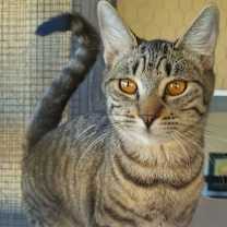 Thumbnail photo of Sunny ⭐️PROMOTION⭐️ Care Bears #2