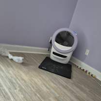 Thumbnail photo of Sweetpea #4