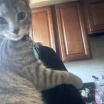 Thumbnail photo of Vivi #3