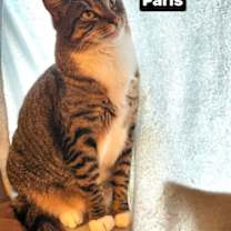 Thumbnail photo of Paris #1