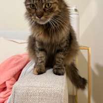 Thumbnail photo of Anya #1