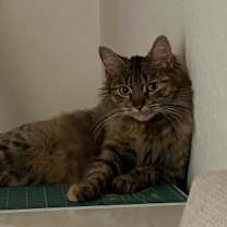 Thumbnail photo of Anya #3