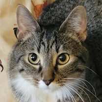 Thumbnail photo of Rhodes #1