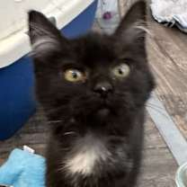 Thumbnail photo of Zip #2