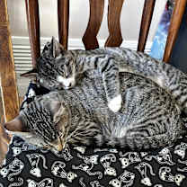 Thumbnail photo of Donnie #2