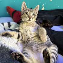 Thumbnail photo of Donnie #3