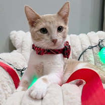 Thumbnail photo of Todd #2