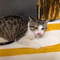 Thumbnail photo of Frostine #4