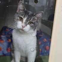 Thumbnail photo of Mum #4