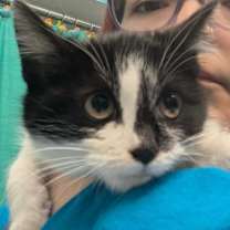 Thumbnail photo of Carolina #1