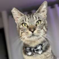 Thumbnail photo of Sonny #1