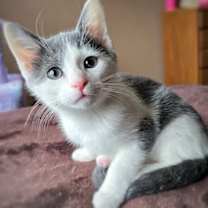 Thumbnail photo of Glinda #2