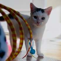 Thumbnail photo of Grits #2