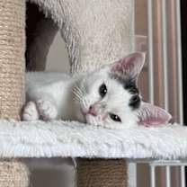 Thumbnail photo of Grits #3