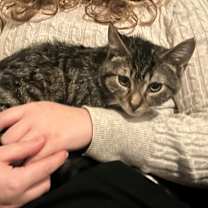 Thumbnail photo of Oz #1