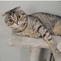 Thumbnail photo of Monty #3