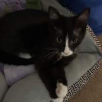 Thumbnail photo of Kiara #3