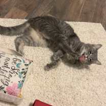 Thumbnail photo of Ethel #4