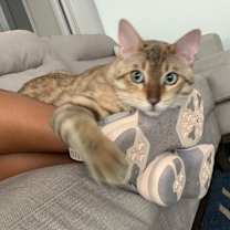 Thumbnail photo of Hank #2