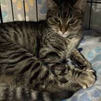 Thumbnail photo of Fiona #2