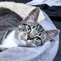 Thumbnail photo of Mikhail #1