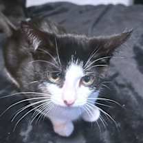 Thumbnail photo of Alyna #2