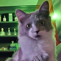 Thumbnail photo of Tuxy #3