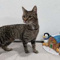 Thumbnail photo of Wilma #2