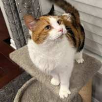 Thumbnail photo of VICTORIA #1