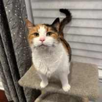 Thumbnail photo of VICTORIA #3