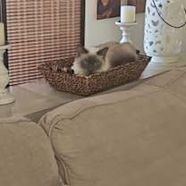 Thumbnail photo of Luna #3