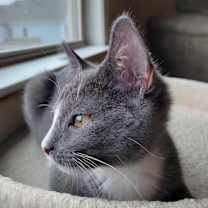 Thumbnail photo of Kiko #4