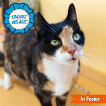 Thumbnail photo of Kali #1