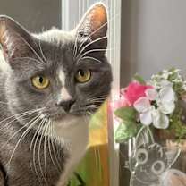 Thumbnail photo of Greyson #2