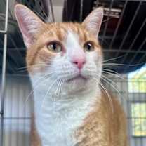 Thumbnail photo of Sid #1