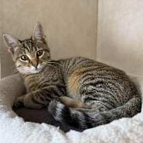 Thumbnail photo of Stacie #2