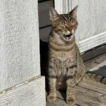 Thumbnail photo of Stacie #3