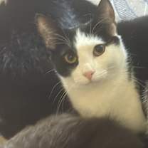 Thumbnail photo of Tammy #1