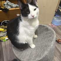 Thumbnail photo of Tammy #3