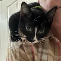 Thumbnail photo of Stomp #2