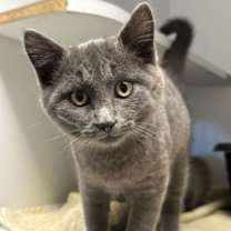 Thumbnail photo of Graphite #3