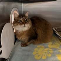 Thumbnail photo of Jerry #1