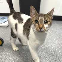 Thumbnail photo of Hailey #2