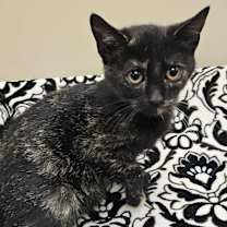 Thumbnail photo of Fiona #1