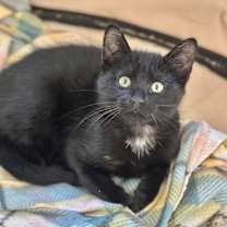 Thumbnail photo of Dax (VIDEO) loves kids #2