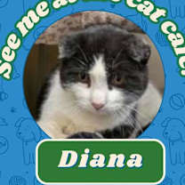 Thumbnail photo of Diana #1