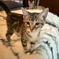 Thumbnail photo of Buster #1