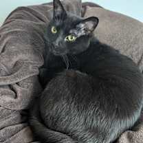 Thumbnail photo of Tucker #1